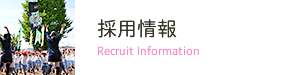 採用情報